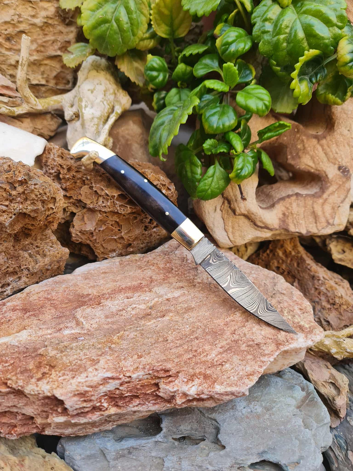 Handmade Resolza Pattadese – 23cm Italian Style Folding Knife with Damascus Steel - Buffalo Horn & Brass