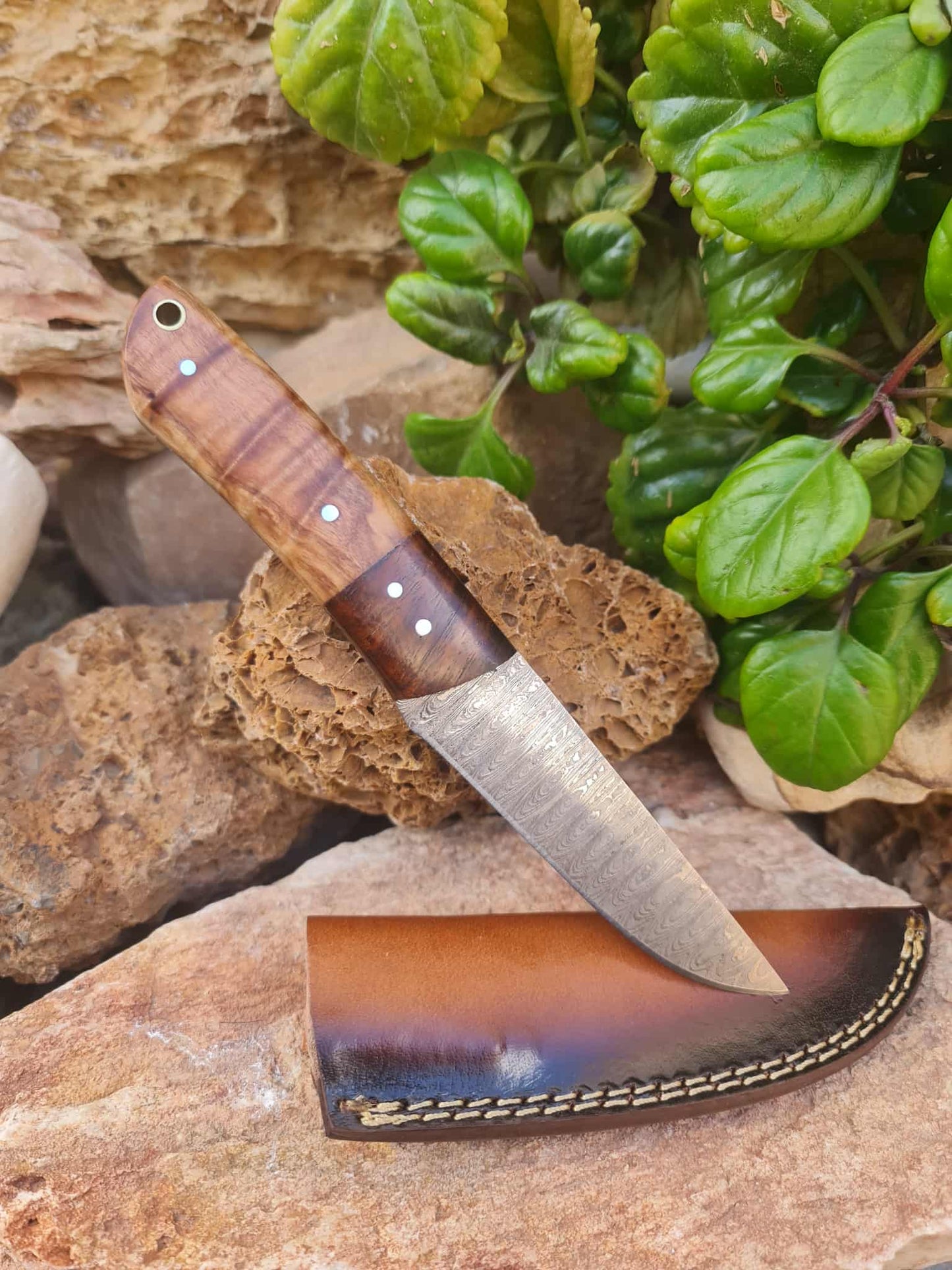 Handmade 22cm Bushcraft Knife with Damascus Steel - Olivewood & Rosewood