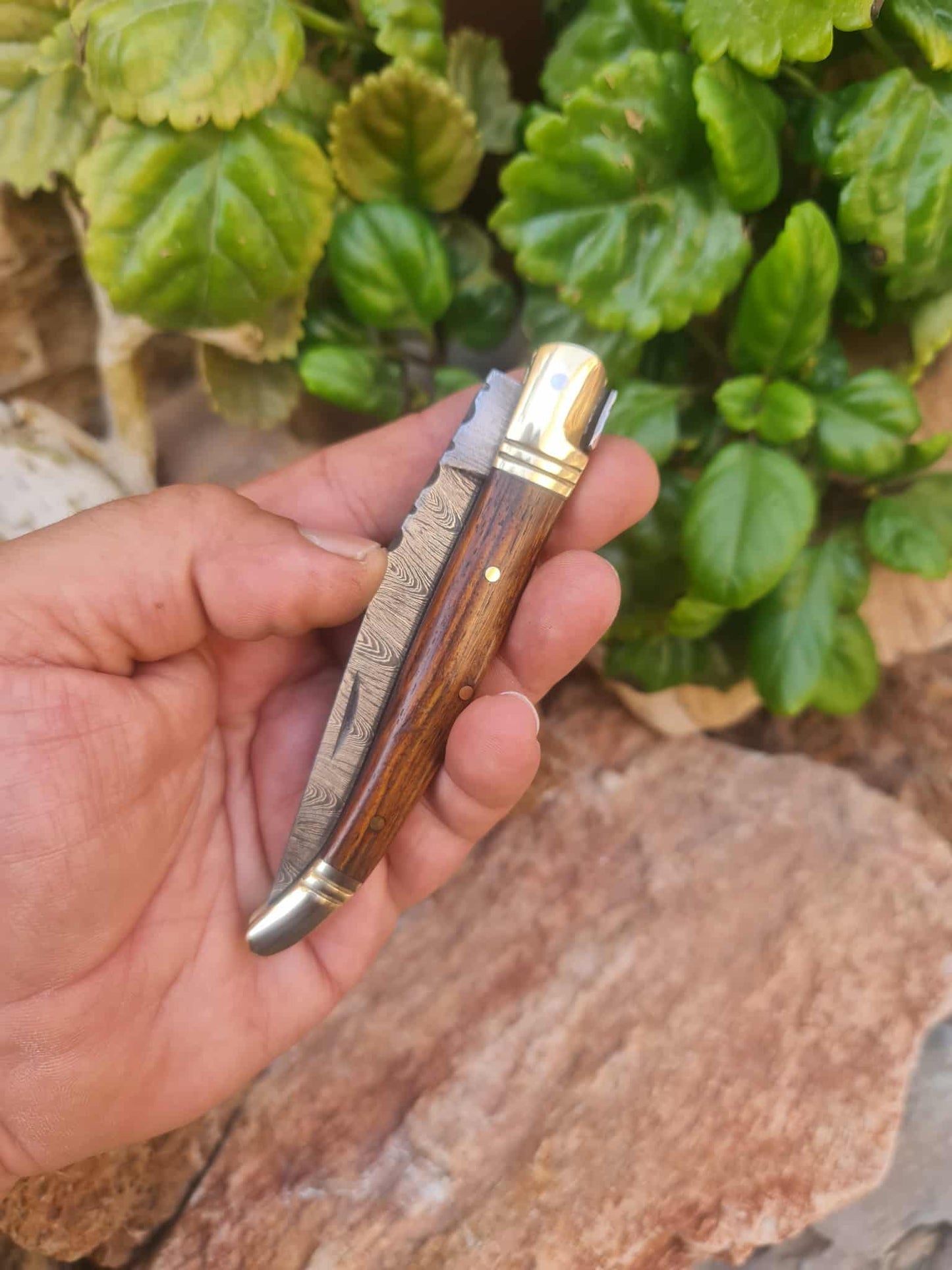 Handmade 22cm Laguiole Classique with Damascus Steel - Walnut wood & Brass