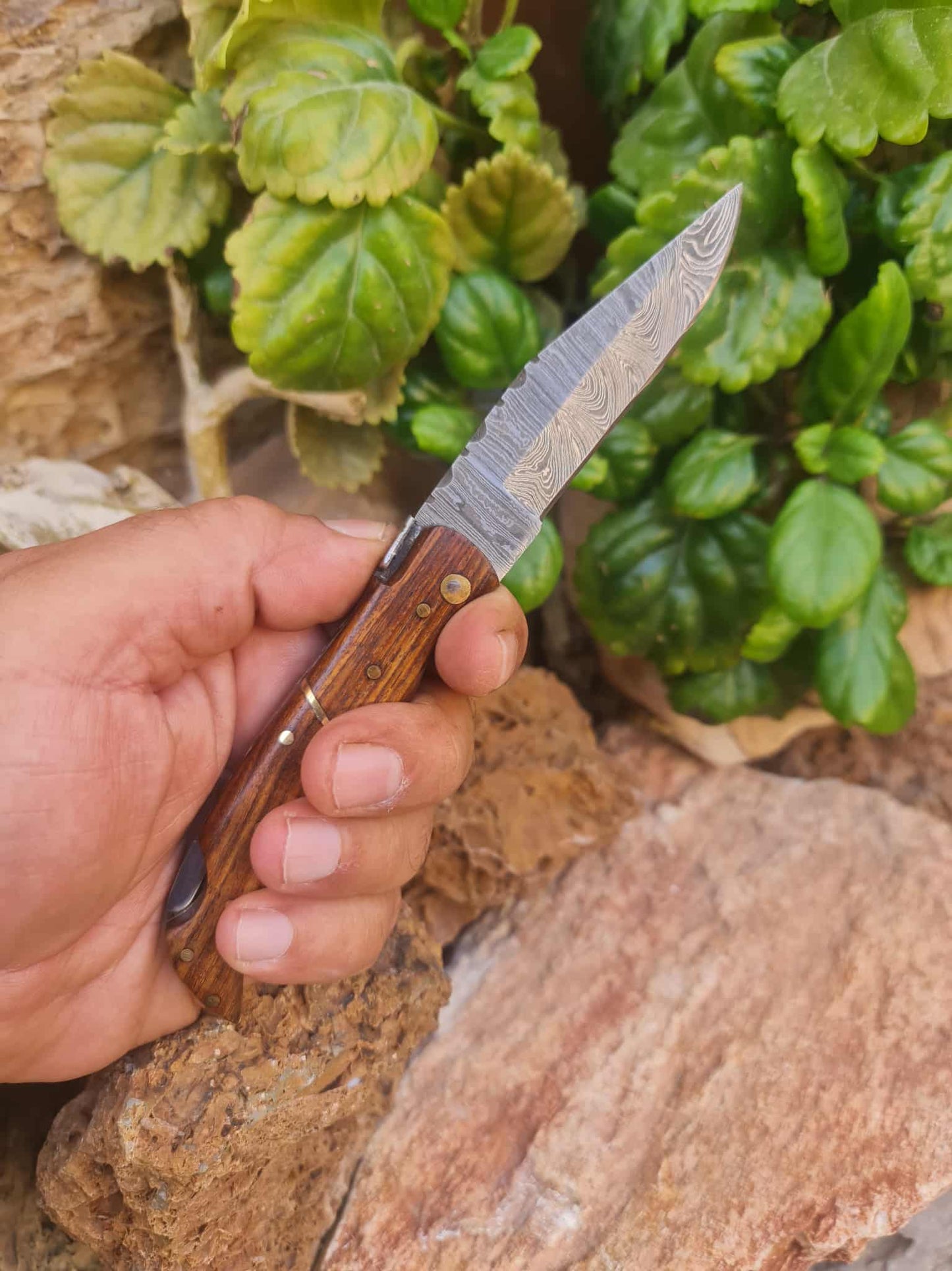 Handmade 19cm Laguiole Élite with Damascus Steel & Walnut wood