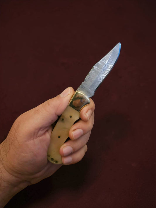 F074 - Tsiakkoui - Stainless Damascus & Horn