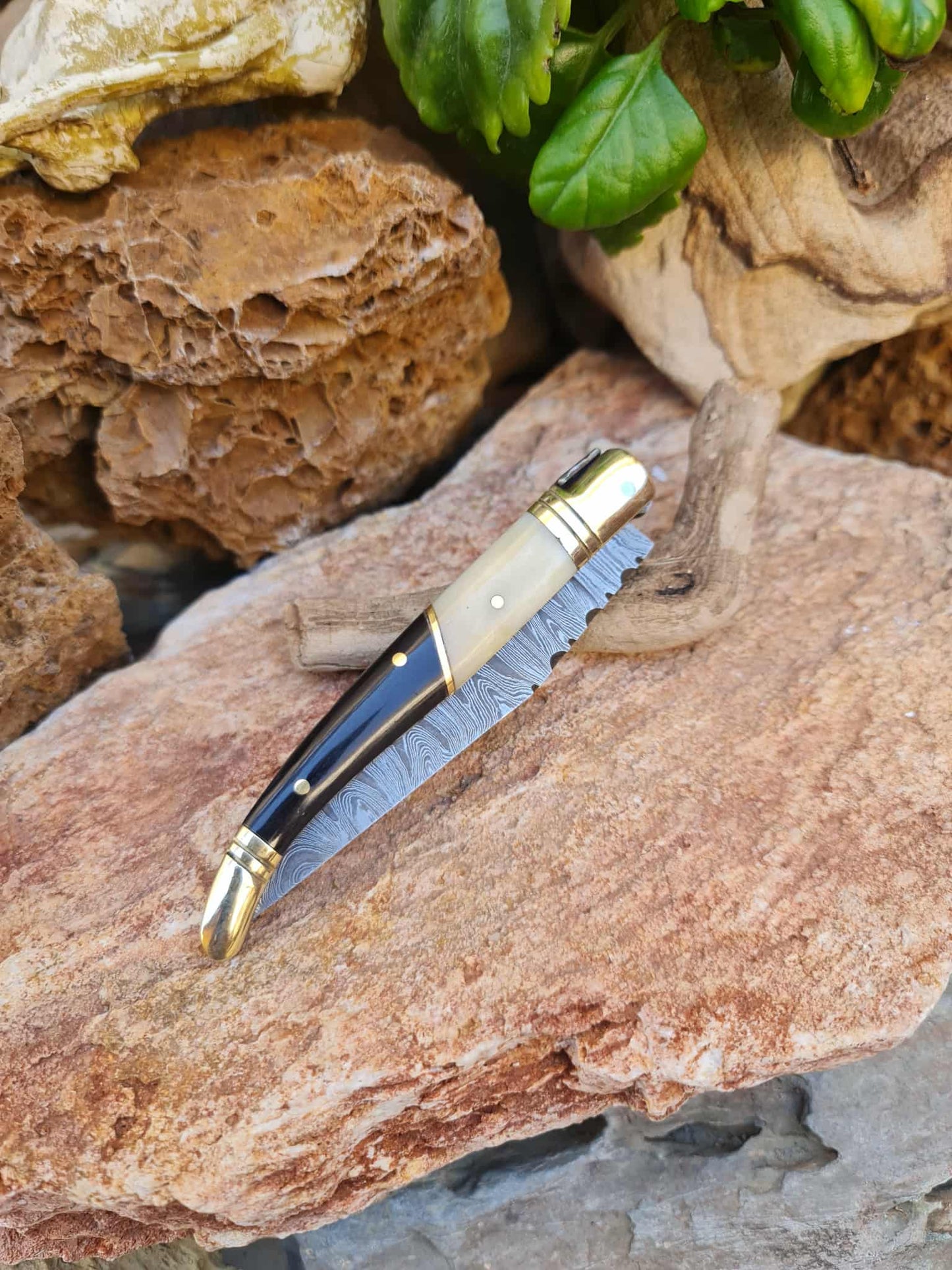 Handmade 22cm Laguiole Classique with Damascus Steel - Camel Bone - Buffalo Horn & Brass