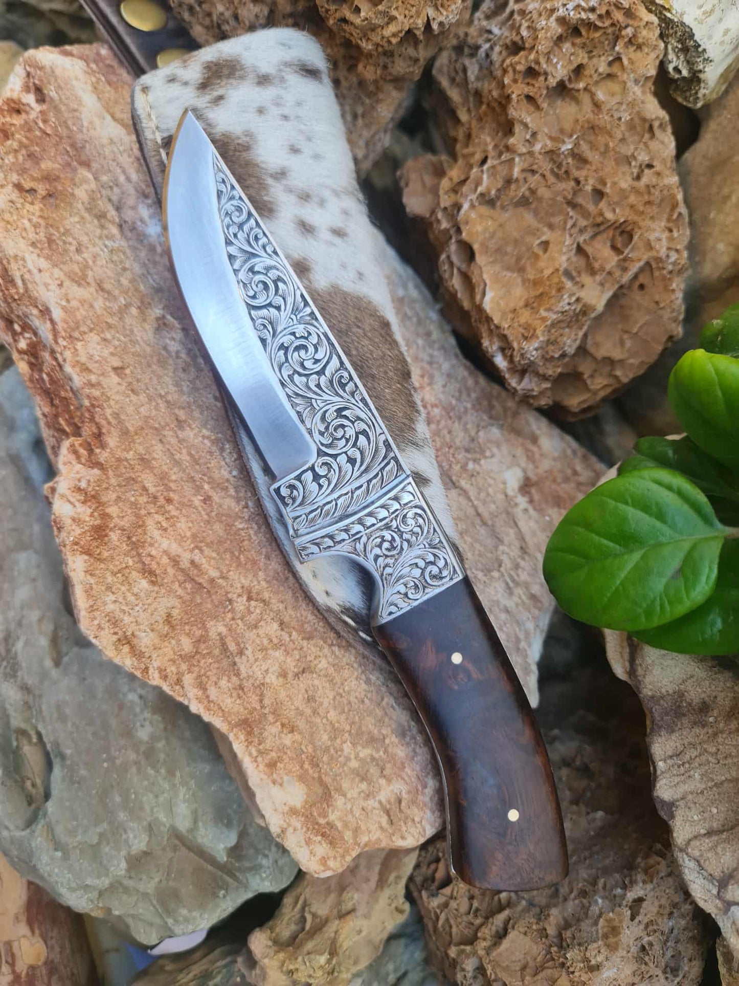Handmade 23cm Exclusive Hunting Knife with Stainless Steel with Master Hand-Engraved & Rosewood