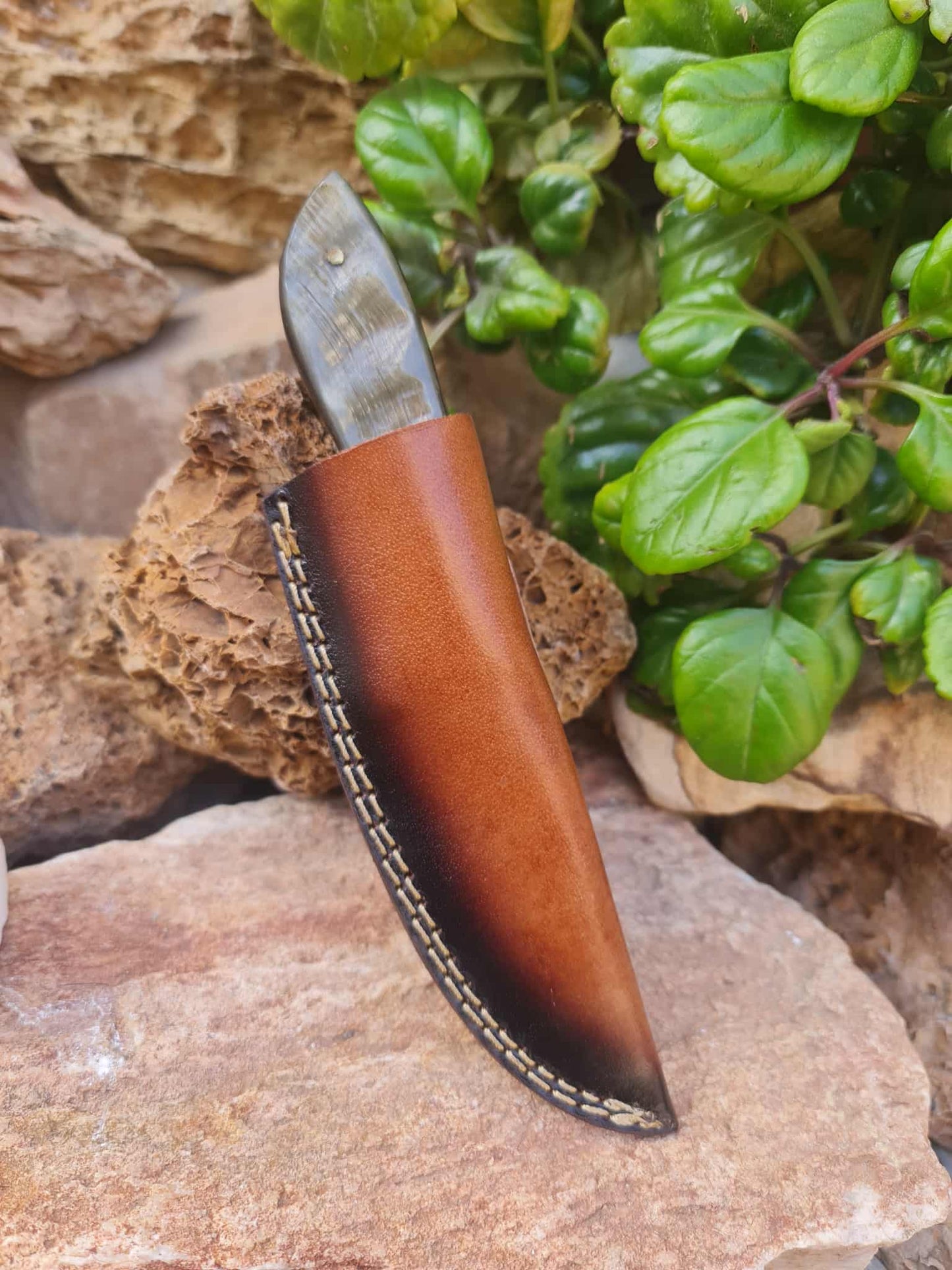 Handmade 21cm Hunting Knife with Damascus Steel & Ram Horn