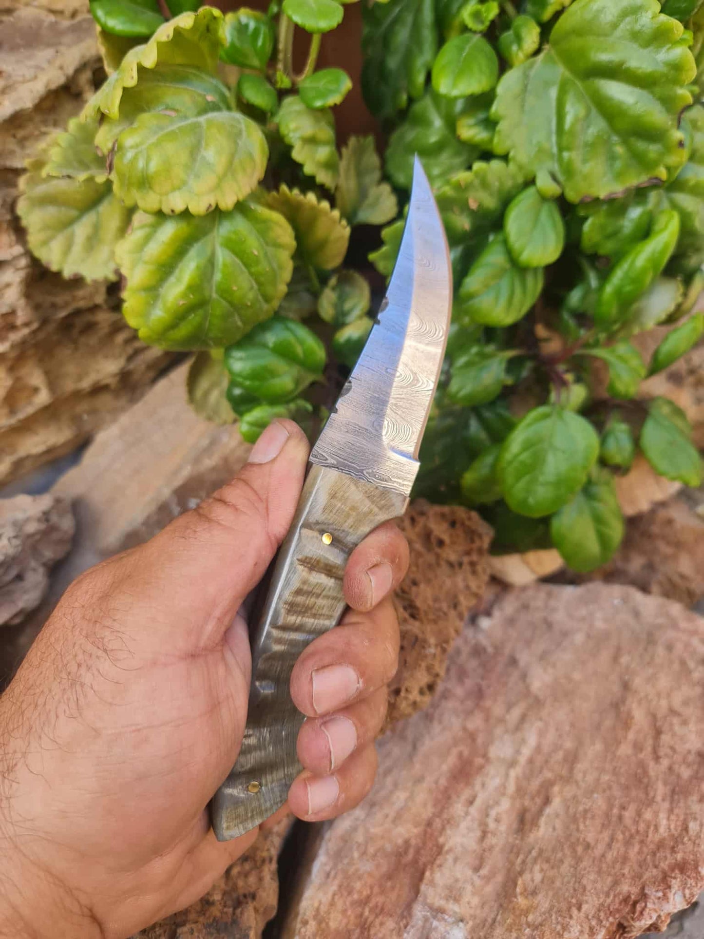Handmade 21cm Hunting Knife with Damascus Steel & Ram Horn