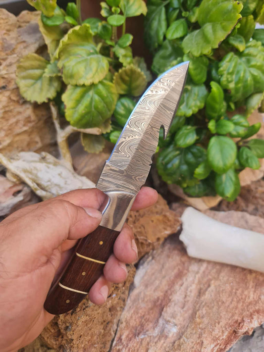 Handmade 21cm Gut hook Knife with Damascus Steel - Walnut wood & D2 Stainless Steel