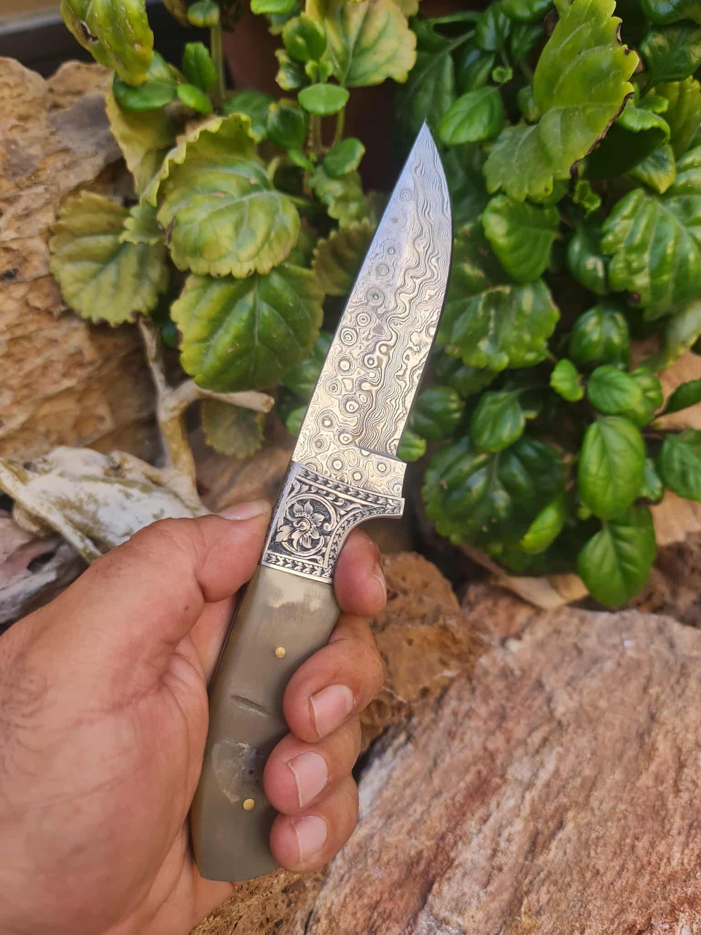 Handmade 22cm Premium Hunting Knife with Raindrop Damascus Steel - Ibex Horn & Stainless Steel with Master Hand-Engraved