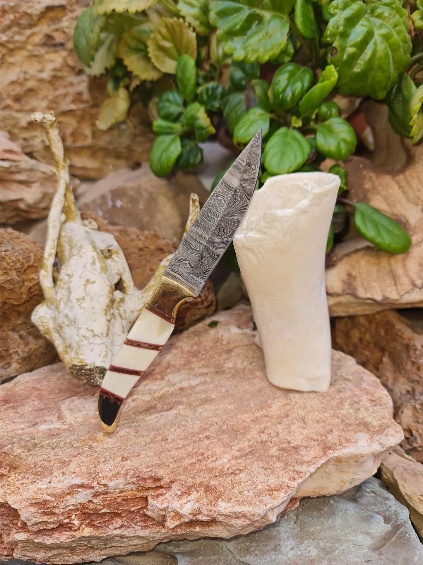 Handmade 18cm Mini Hunting Knife with Damascus Steel - Buffalo Horn - Camel Bone & Brass