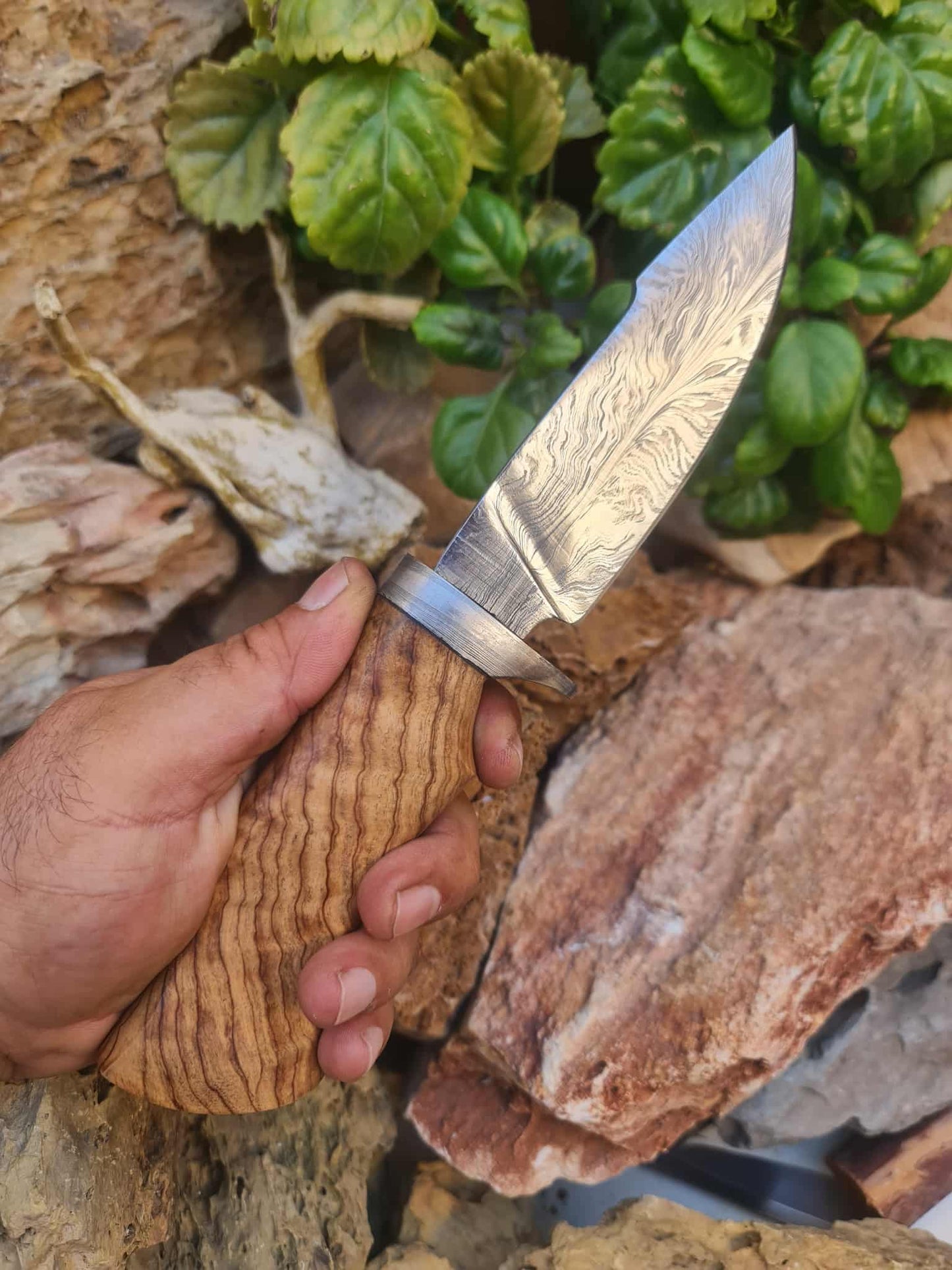 Handmade 27cm Hunting Knife with Feather Damascus Steel & Olive wood