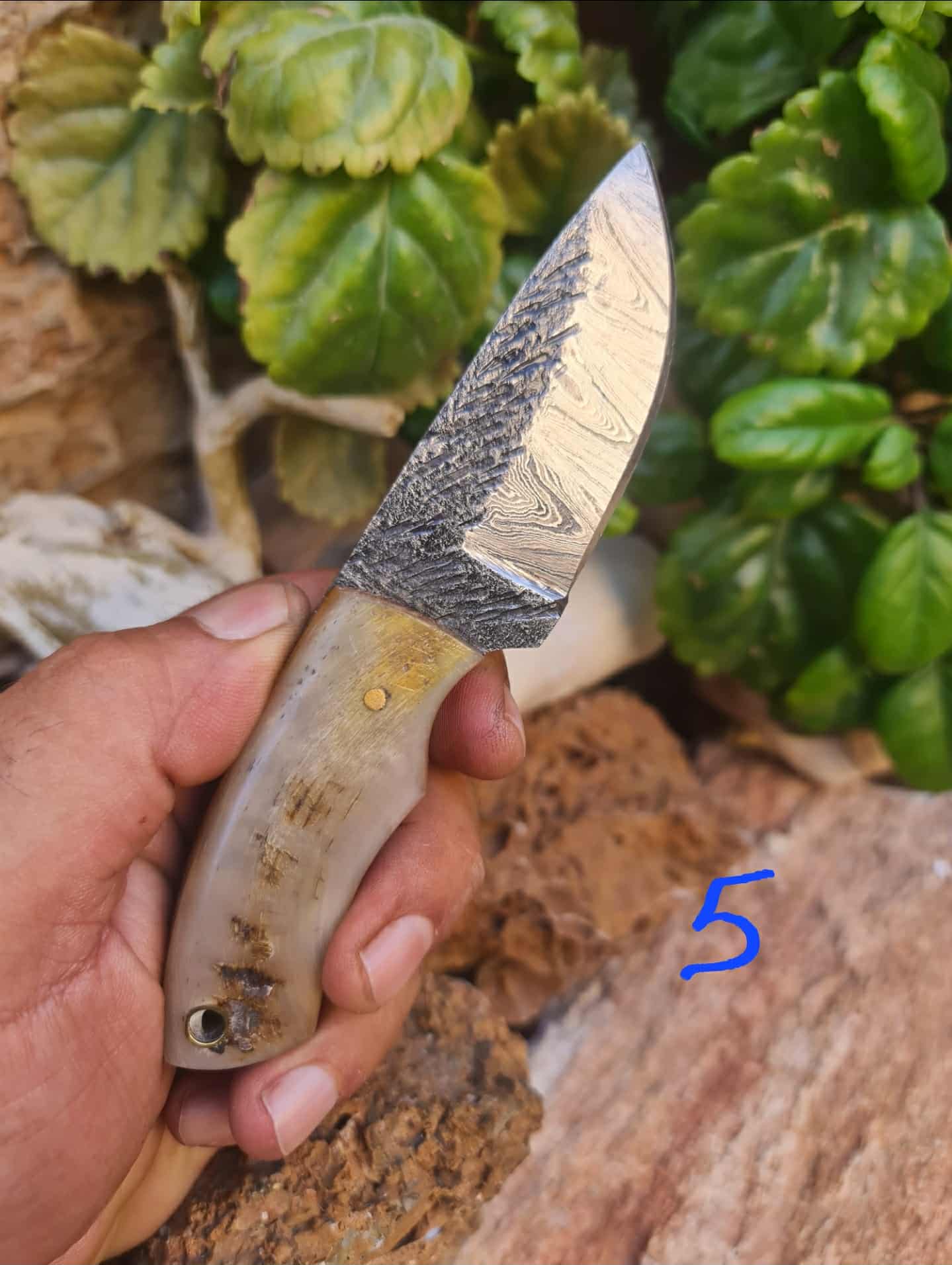Handmade 15cm Mini Skinner Knife with Damascus Steel & Ram Horn