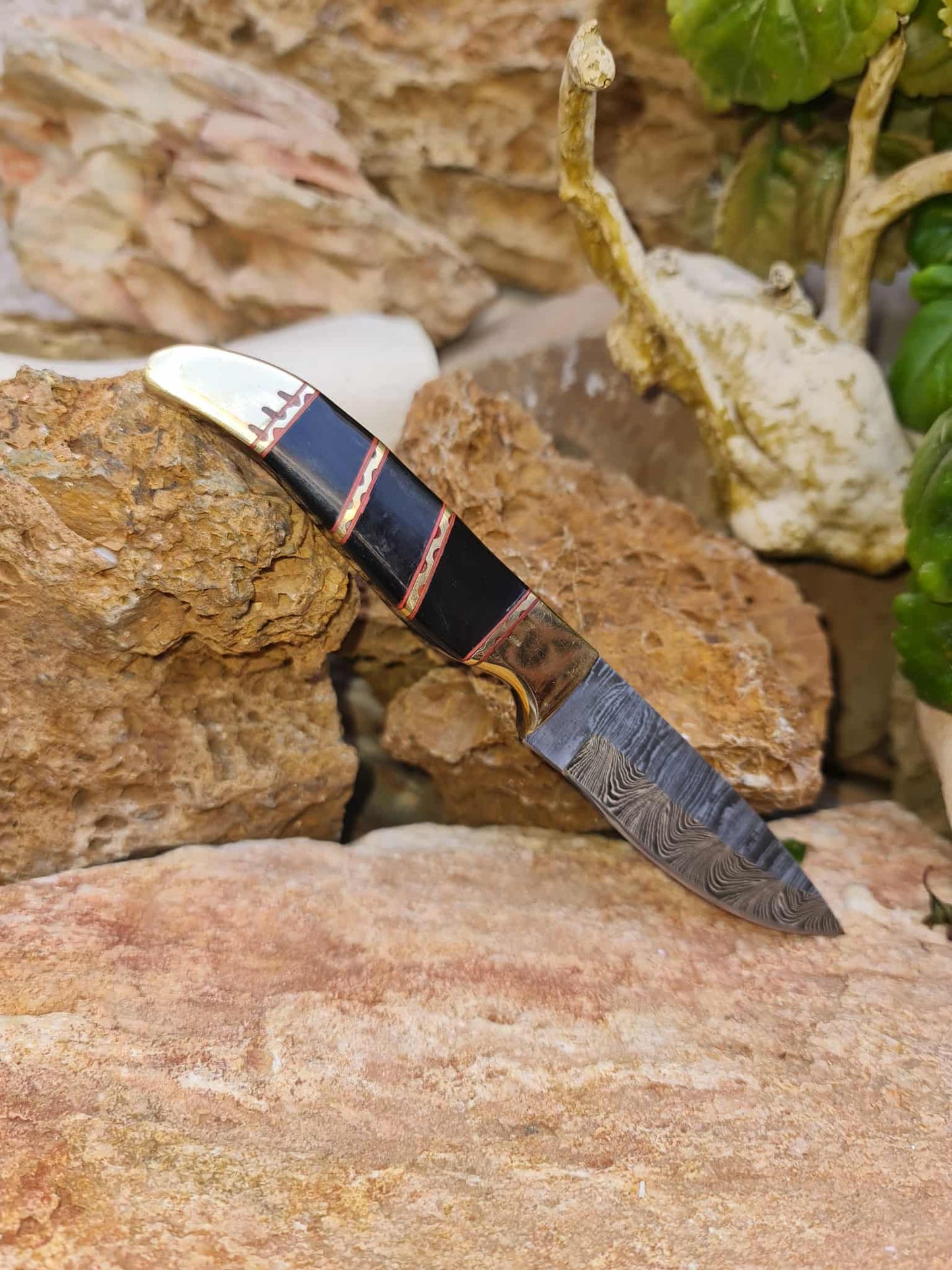 Handmade 18cm Mini Hunting Knife with Damascus Steel - Buffalo Horn - Camel Bone & Brass