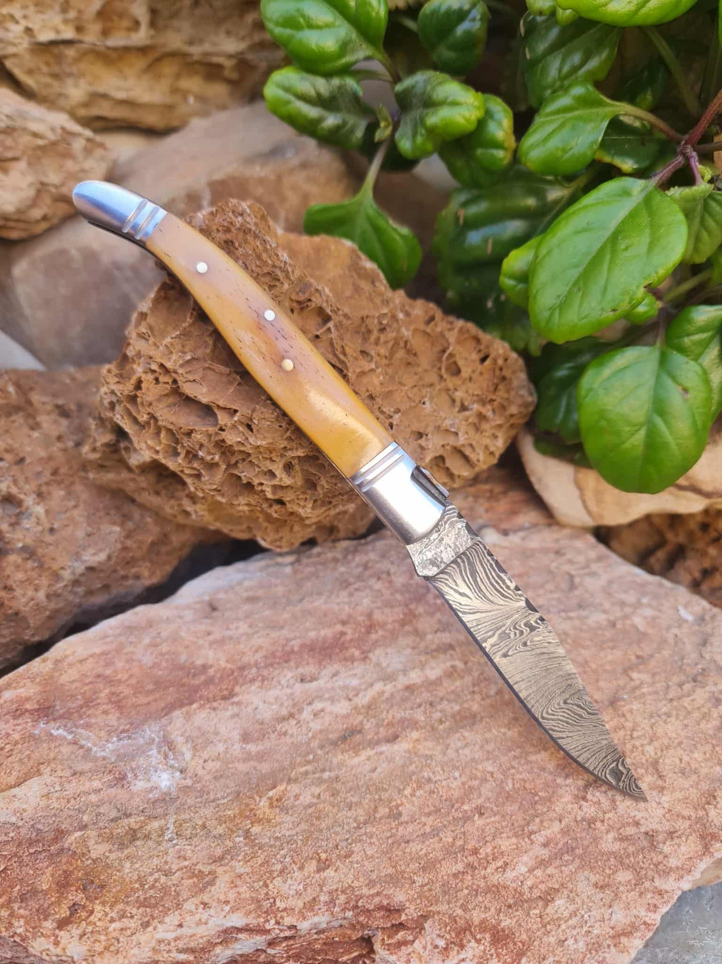 Handmade 22cm Laguiole Rustique with Damascus Steel - Stabilized Camel Bone with D2 Stainless Steel