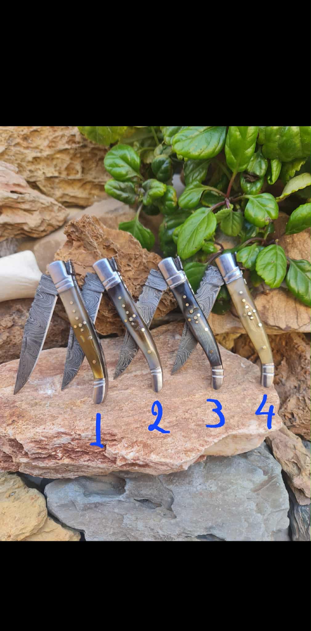 Handmade 22cm Laguiole Rustique with Damascus Steel - Ram Horn with D2 Stainless Steel