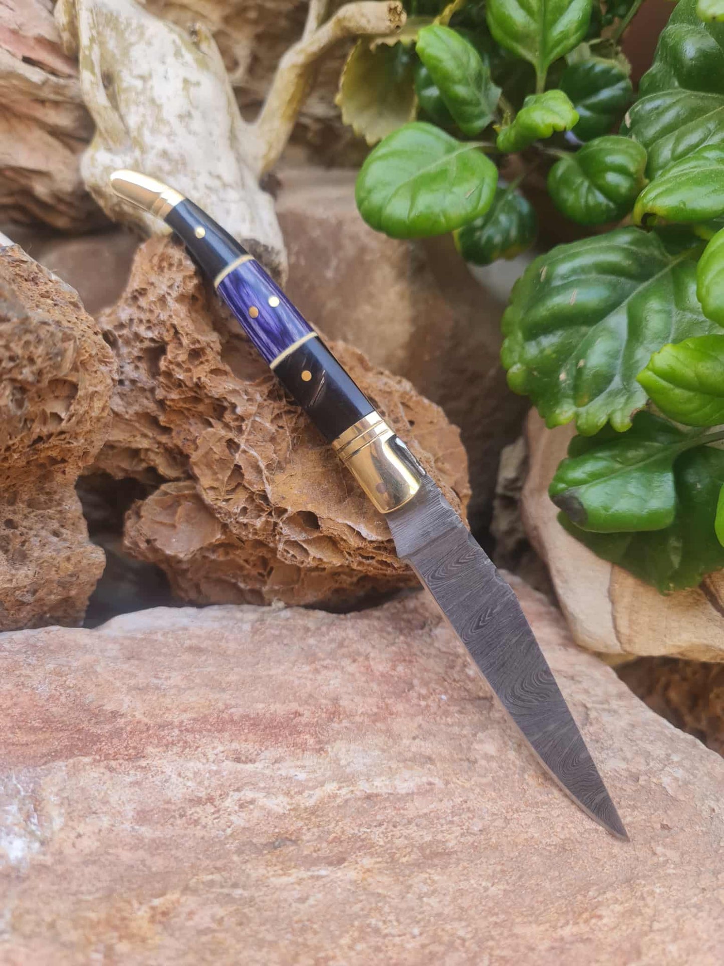 Handmade 22cm Laguiole Classique with Damascus Steel - Buffalo Horn - Stabilized wood & Brass