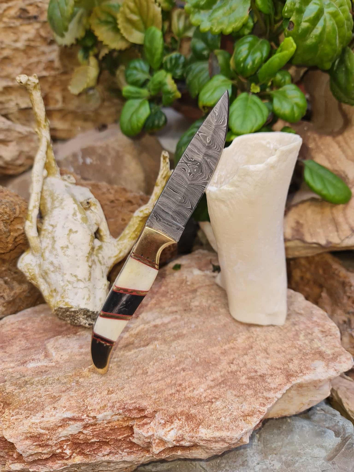 Handmade 18cm Mini Hunting Knife with Damascus Steel - Buffalo Horn - Camel Bone & Brass