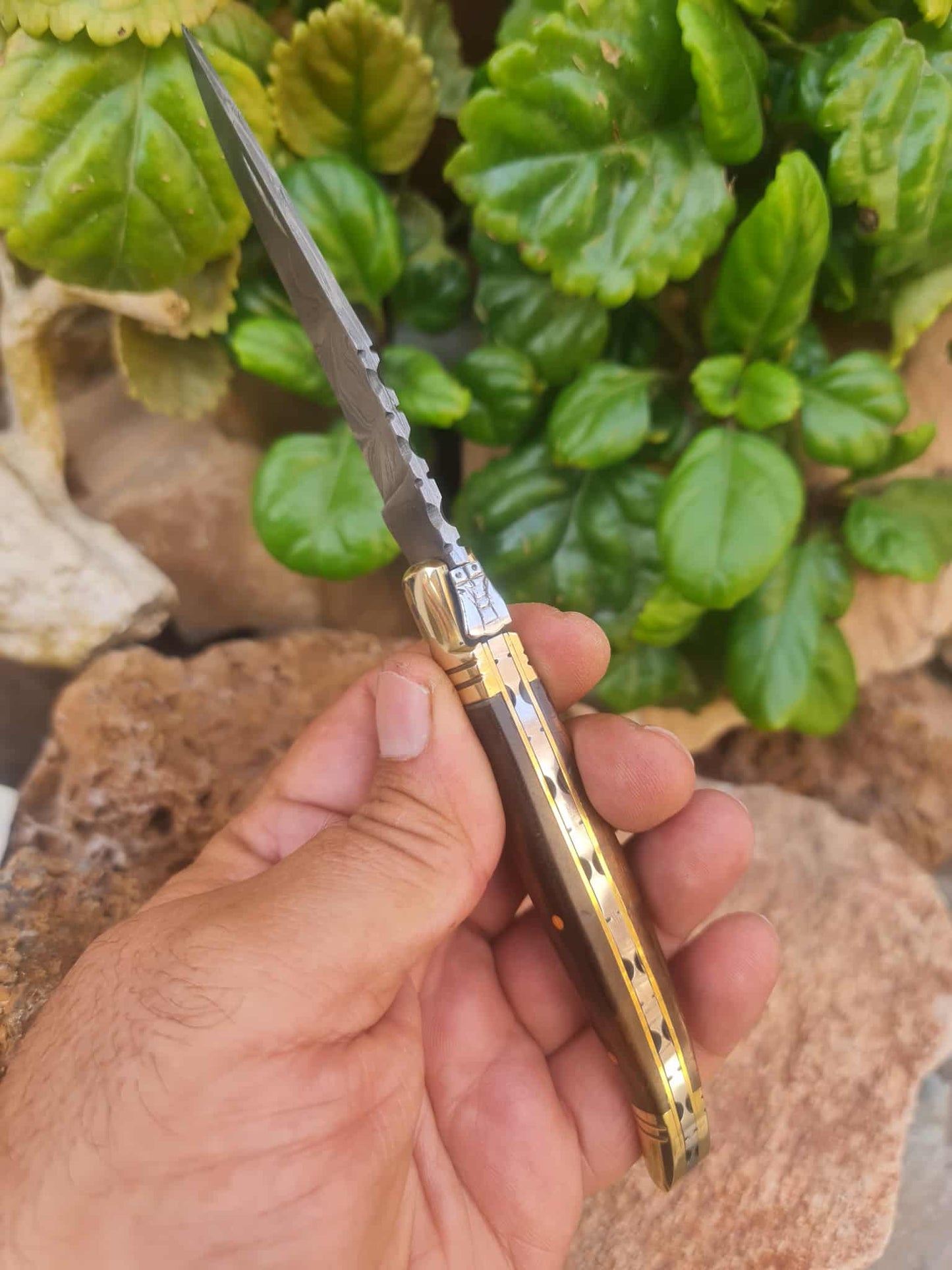 Handmade 22cm Laguiole Classique with Damascus Steel - Rosewood & Brass