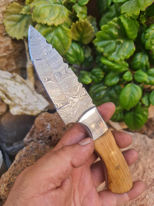 Handmade 20cm Skinner Knife with Damascus Steel - Olive wood & D2 Stainless Steel